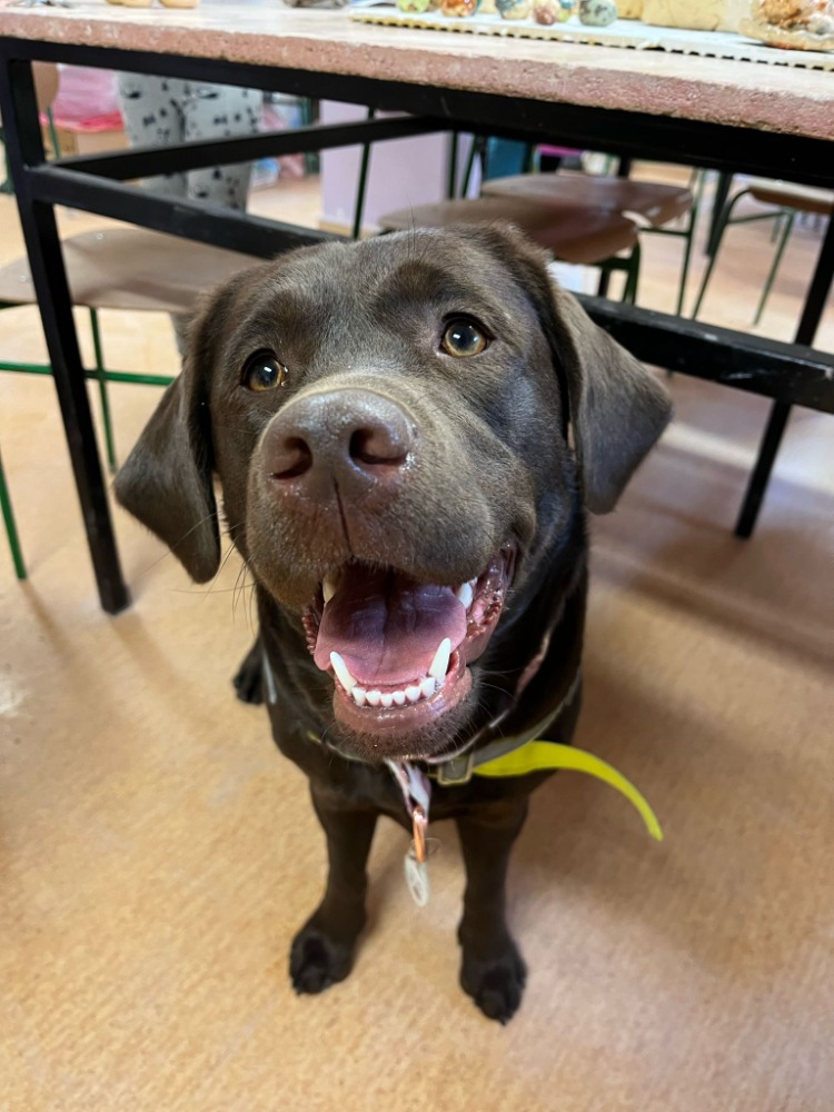 Aileen Dorothea Lucky from Paradise