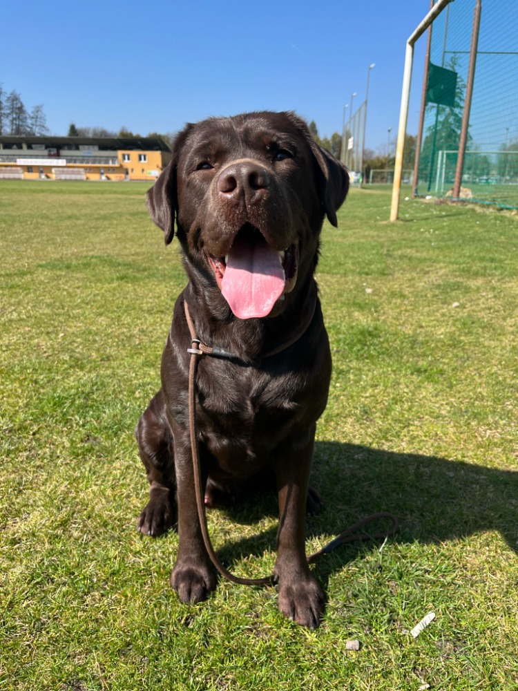 Alwin Falco Lucky from Paradise