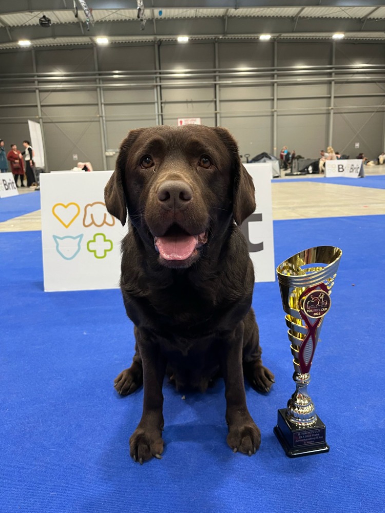 Amy Rose Feeling Happy